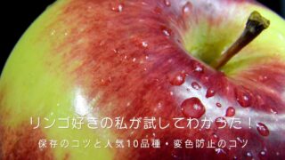 水滴のついた赤と黄緑のグラデーションのリンゴのアップ写真。黒い背景。リンゴ好きの筆者が試してわかった保存のコツと人気10品種、変色防止のコツを紹介する記事のアイキャッチ画像。