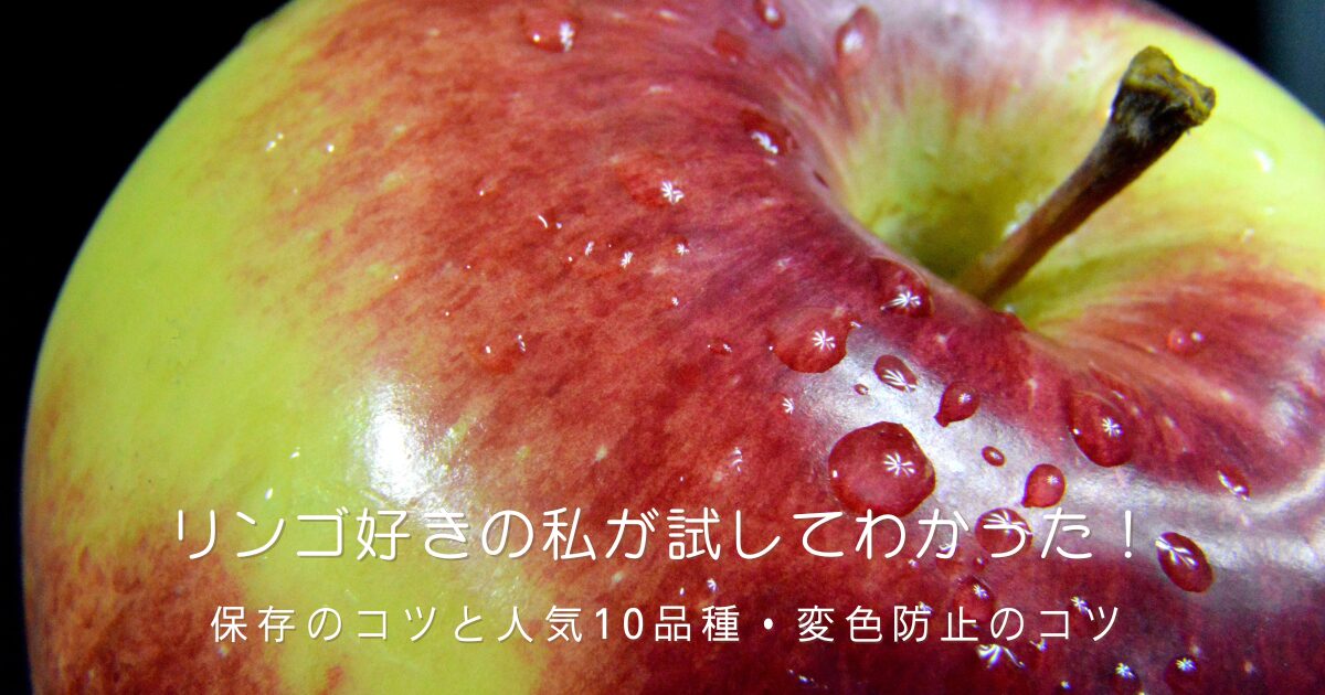 水滴のついた赤と黄緑のグラデーションのリンゴのアップ写真。黒い背景。リンゴ好きの筆者が試してわかった保存のコツと人気10品種、変色防止のコツを紹介する記事のアイキャッチ画像。