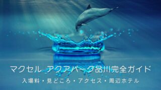 青い水面から跳ね上がるイルカと、王冠のような水しぶきの幻想的な写真。マクセル アクアパーク品川の入場料・見どころ・アクセス・周辺ホテルを紹介する完全ガイド記事のアイキャッチ画像。
