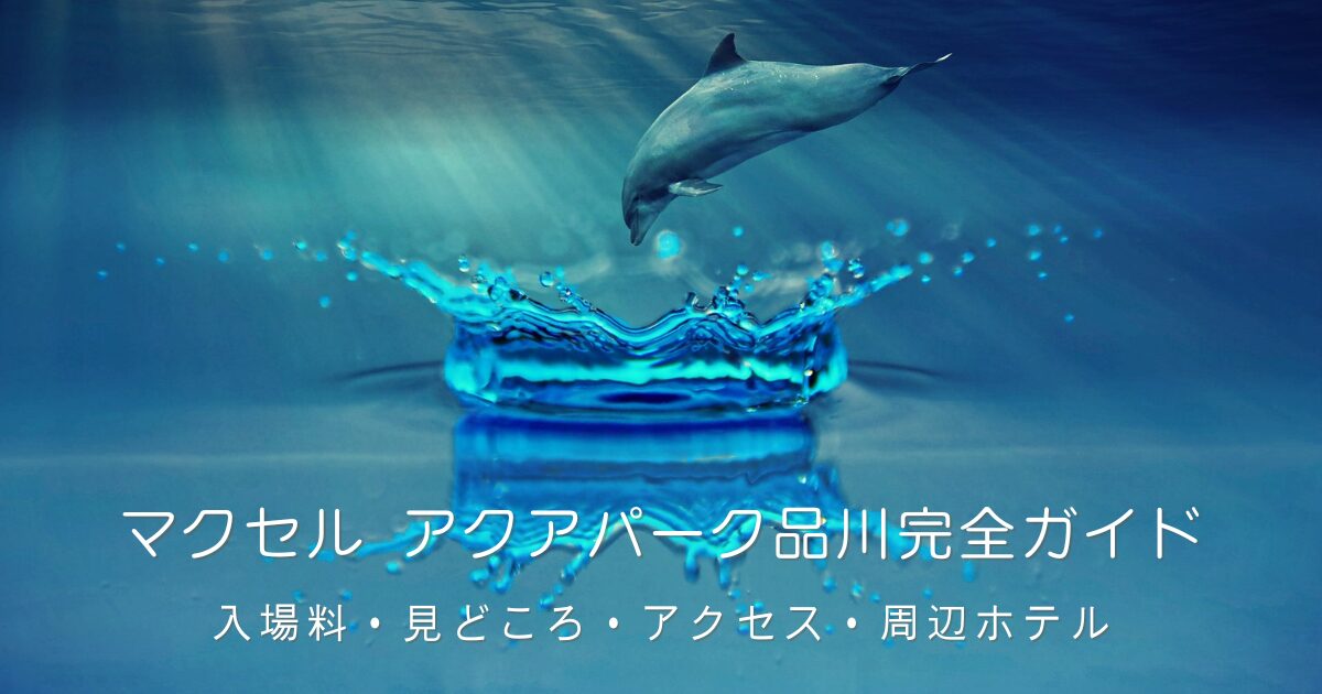 青い水面から跳ね上がるイルカと、王冠のような水しぶきの幻想的な写真。マクセル アクアパーク品川の入場料・見どころ・アクセス・周辺ホテルを紹介する完全ガイド記事のアイキャッチ画像。